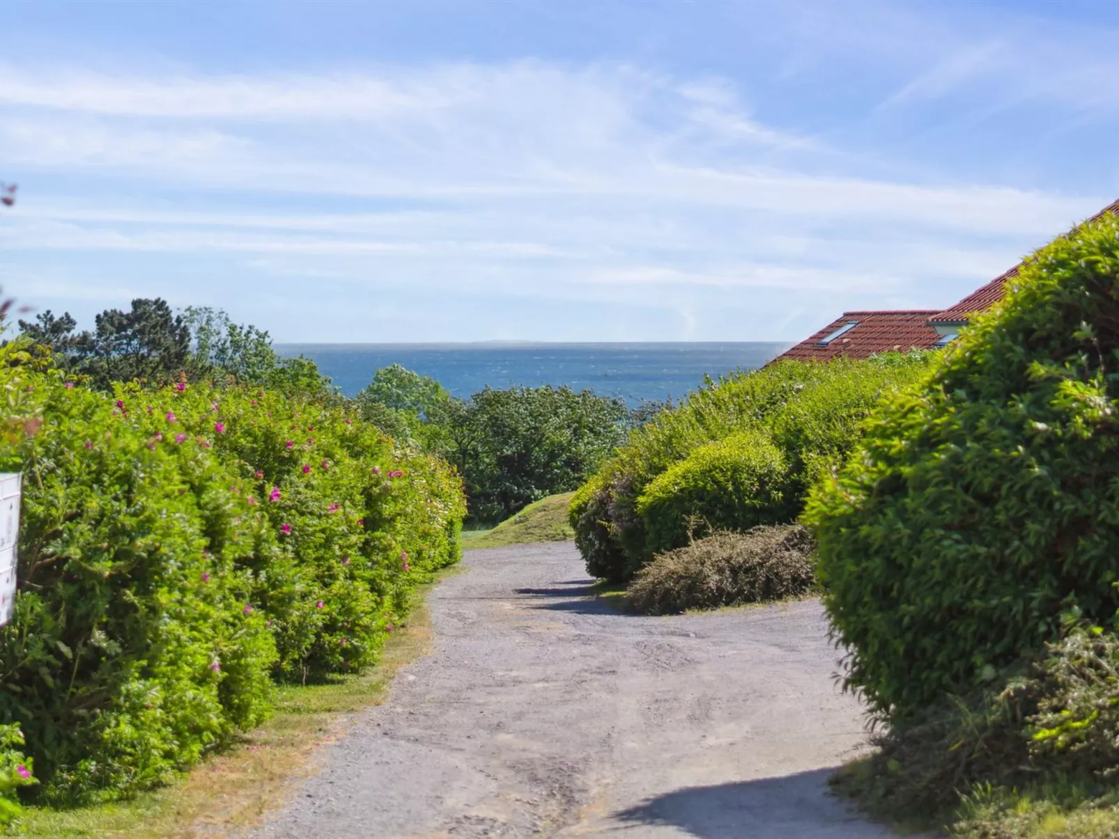 "Sandrine" - 400m from the sea-Dehors