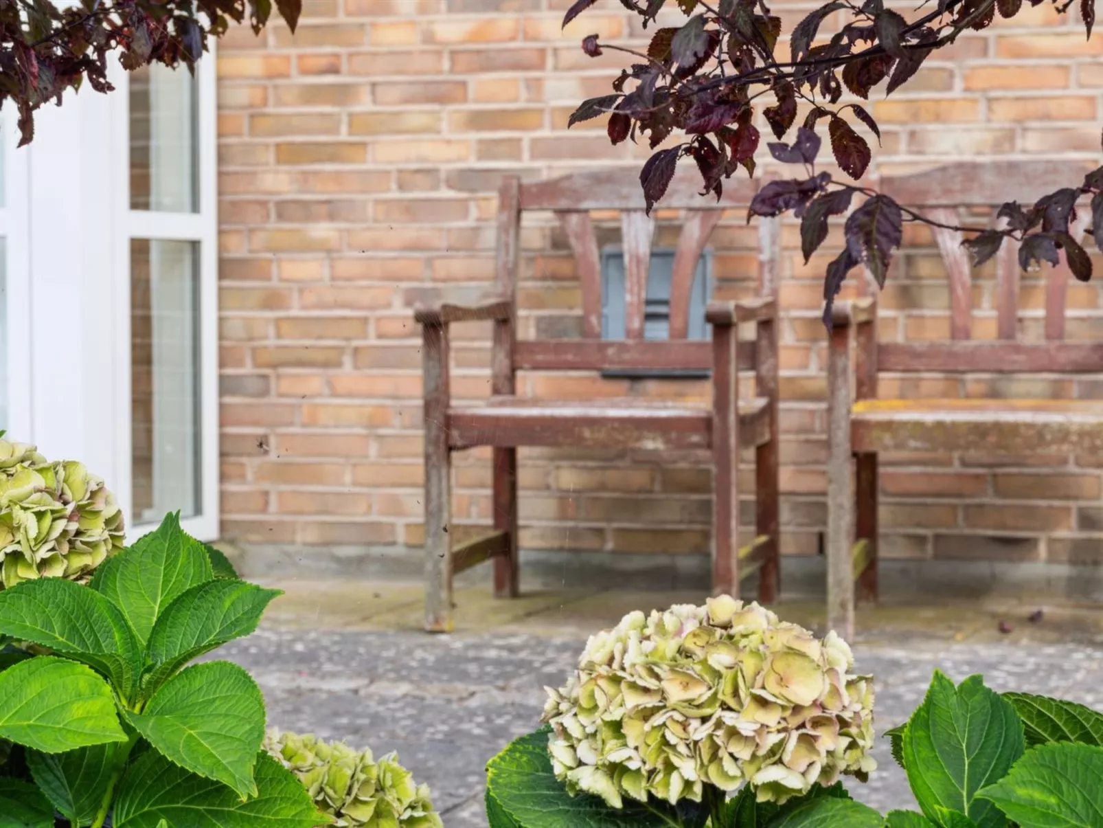 "Agneta" - 150m from the sea-Outside