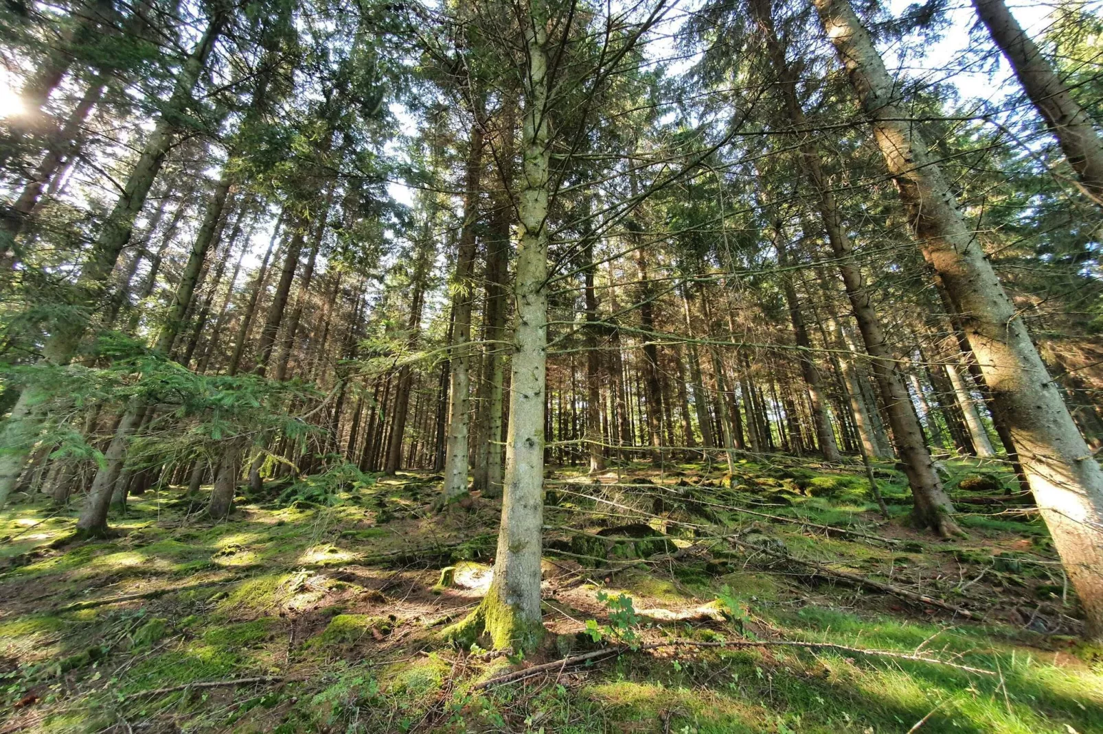 4 person holiday home in Hoor-Untagged