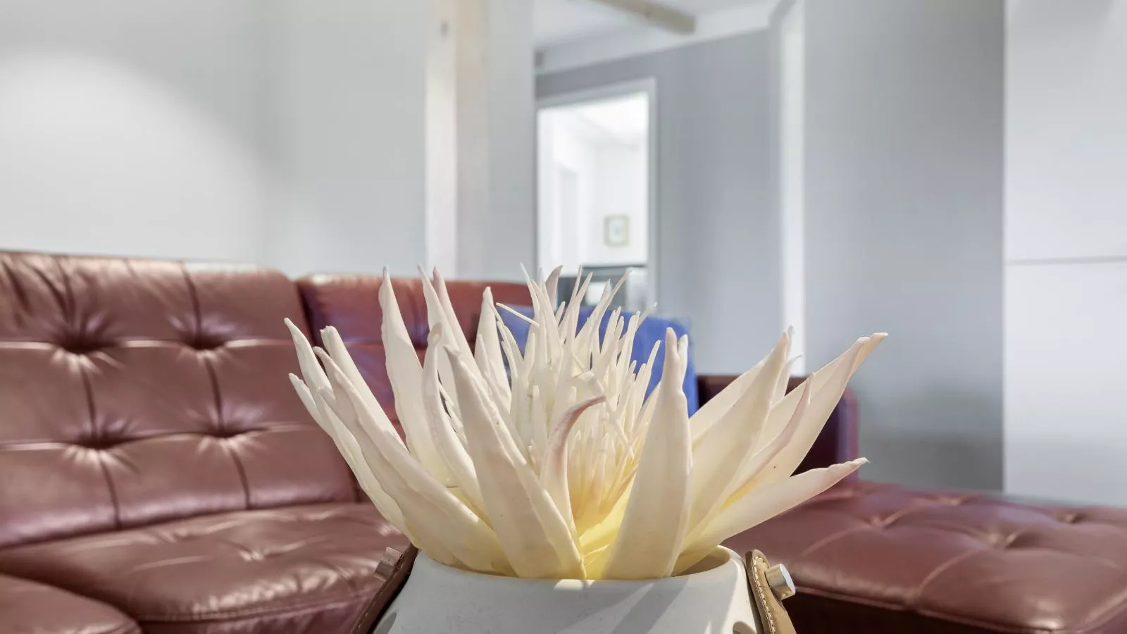 Wilma - direkt an der Ostsee-Ambiente