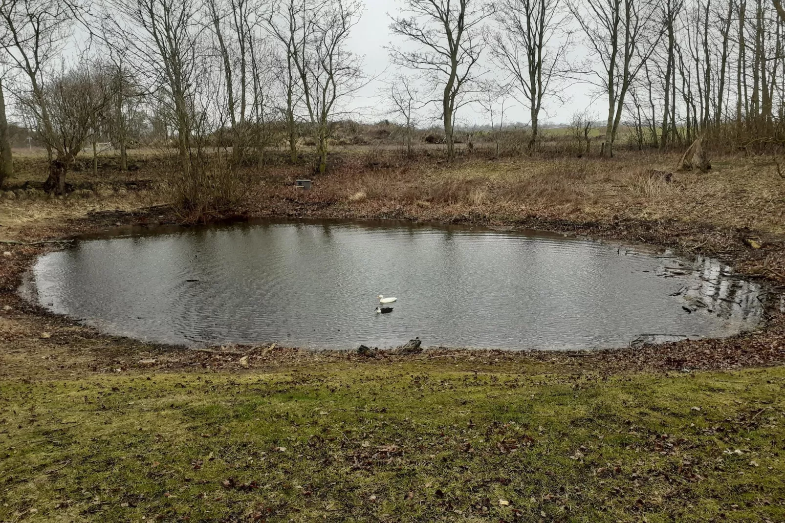 FH Sturmfrei-Zones été à 5 km