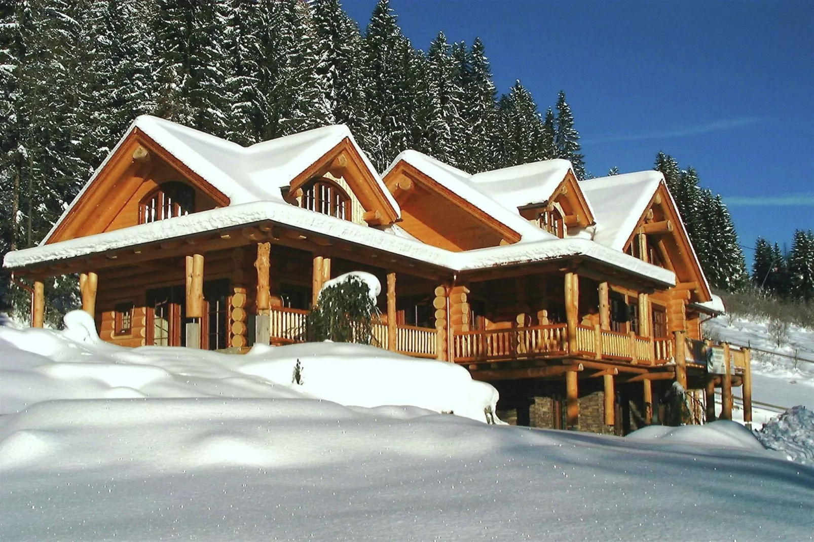 Chalet Caprea-Exterior winter