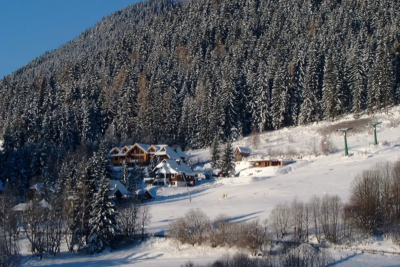 Chalet Caprea-View winter