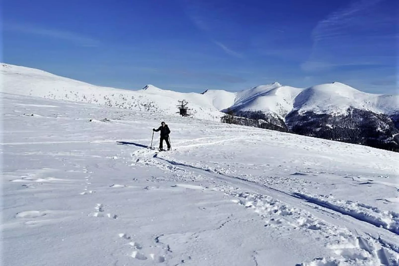 Chalet Caprea-Area winter 1km