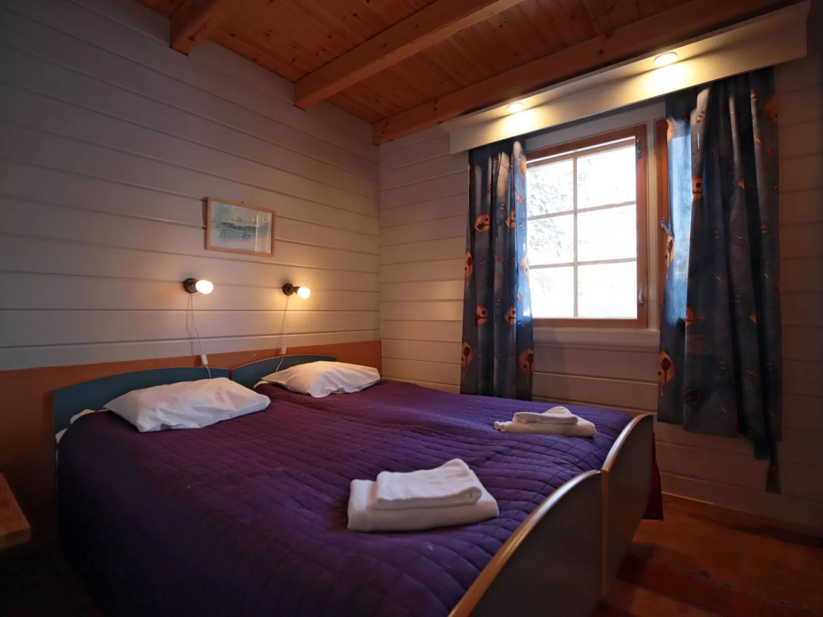 Tunturikoivu a2-Inside