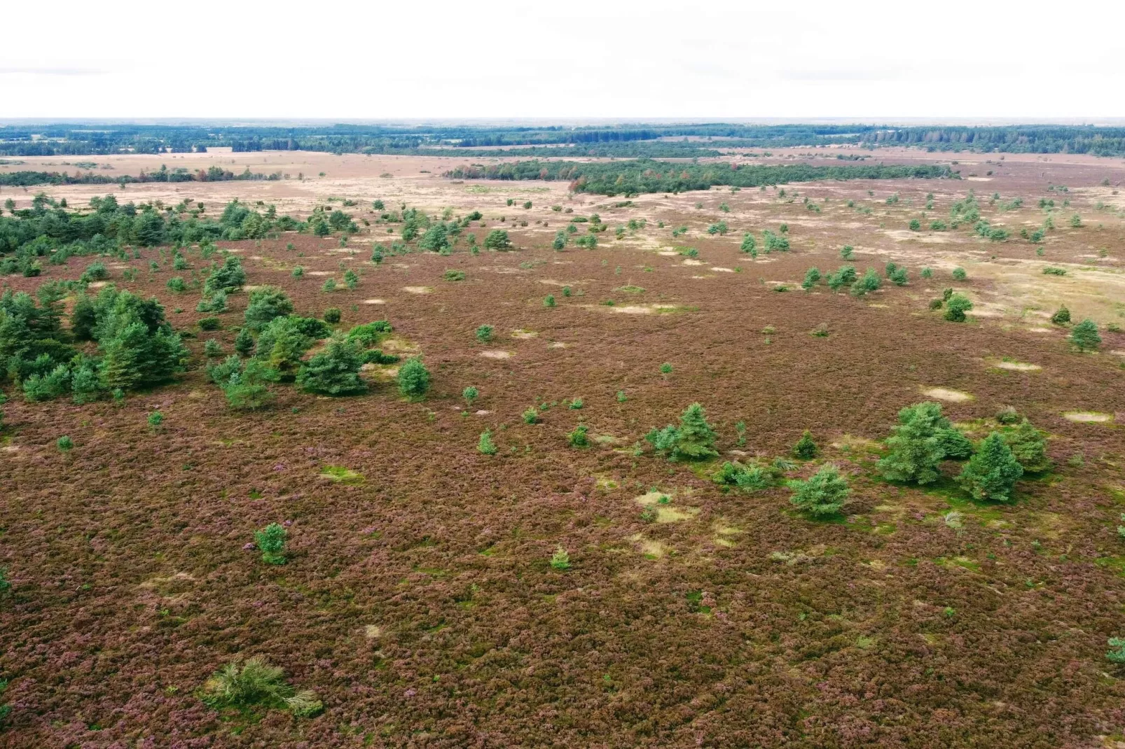 Maison de vacances dans le Jutland central-Non tagué