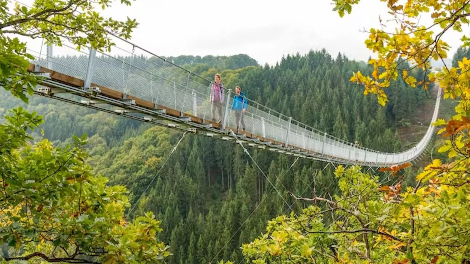Panoramablick-Zones été à 5 km
