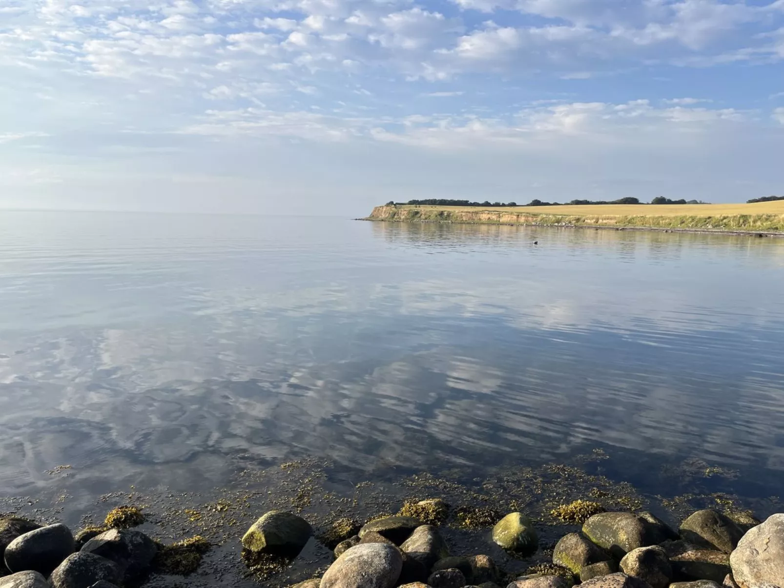 "Mari" - 150m from the sea-Outside