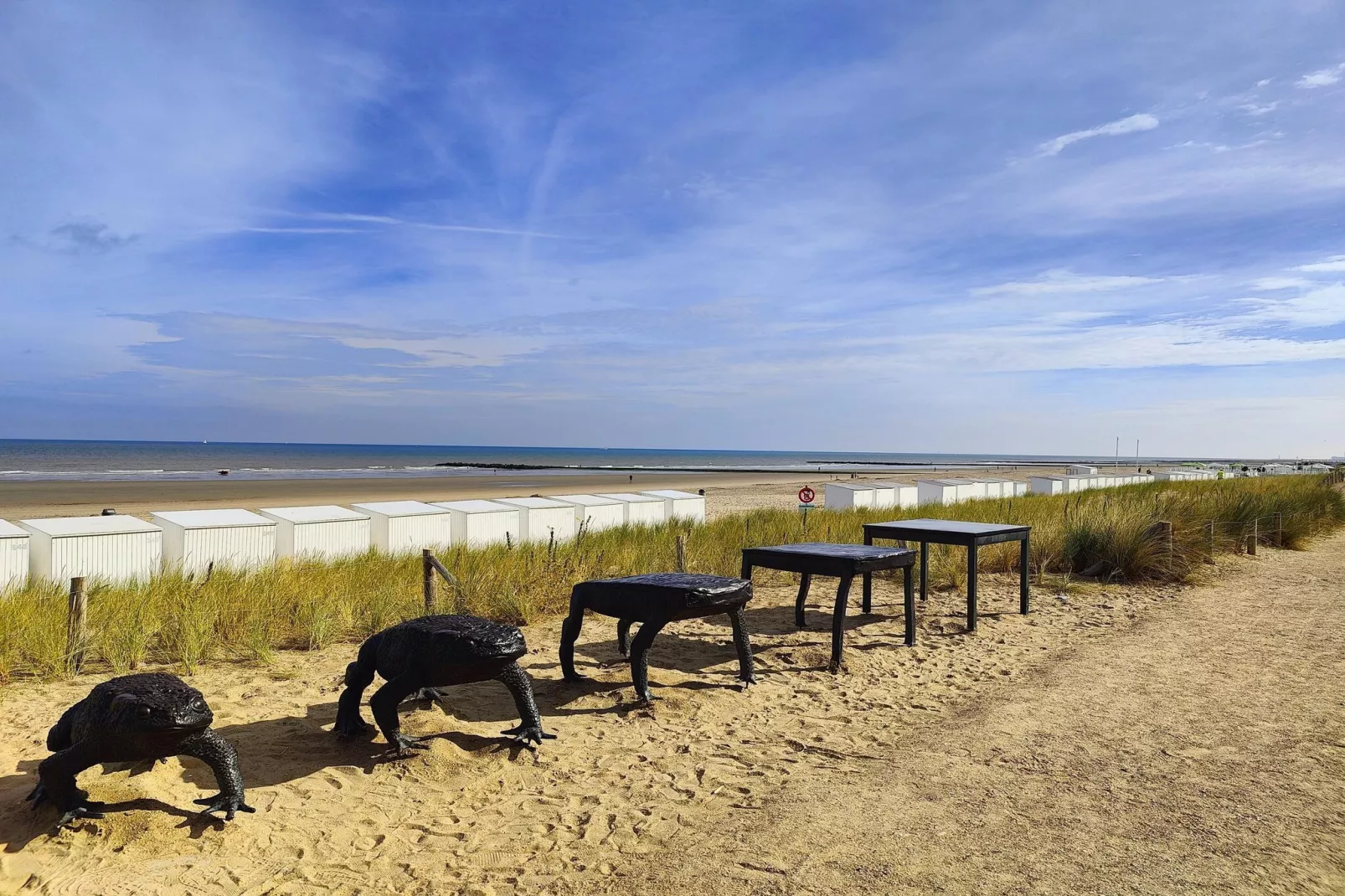 De Rede-Areas within 5km in summer