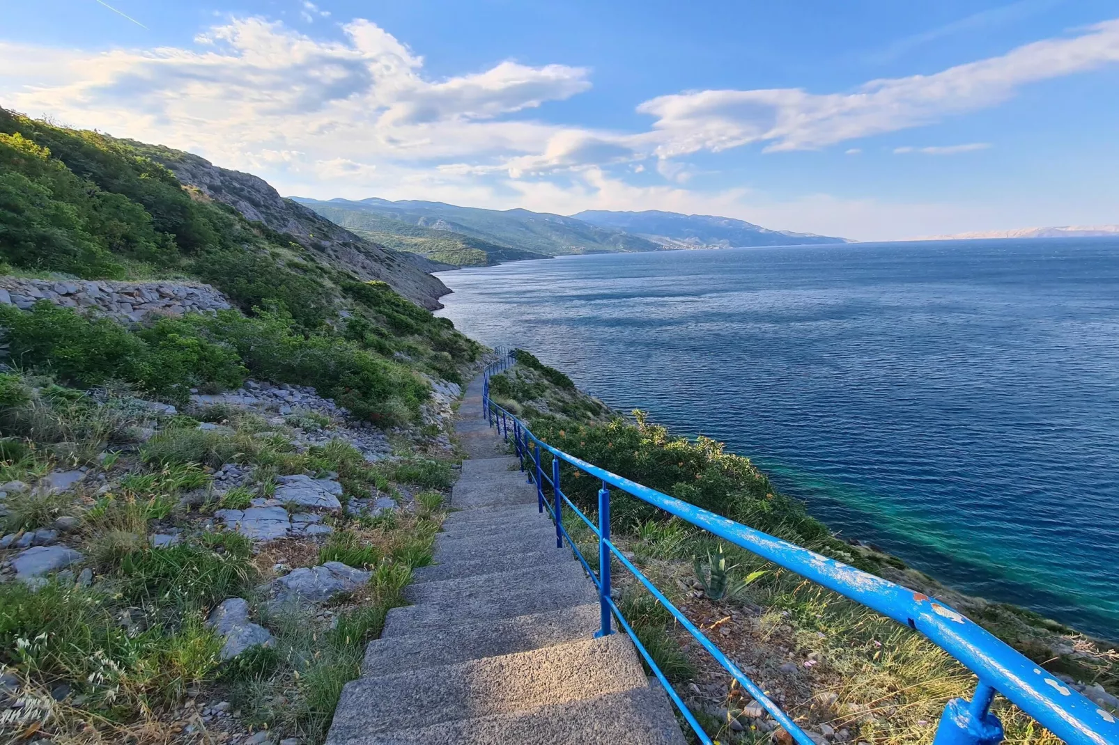 Niko 1-Gebiete Sommer 1 km