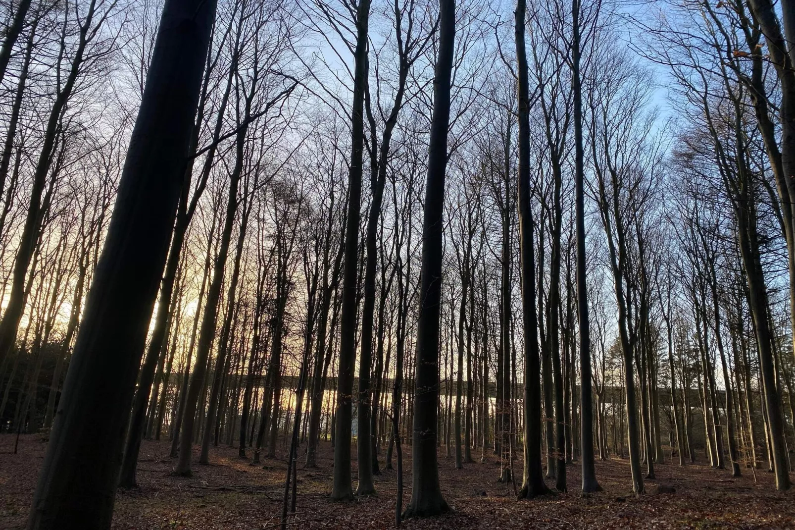 Beautiful cottage near the beach-Untagged