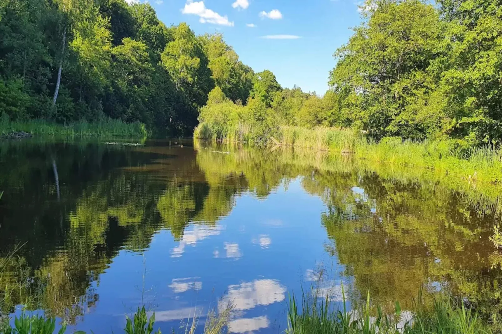 4 star holiday home in Mjörn-Water view