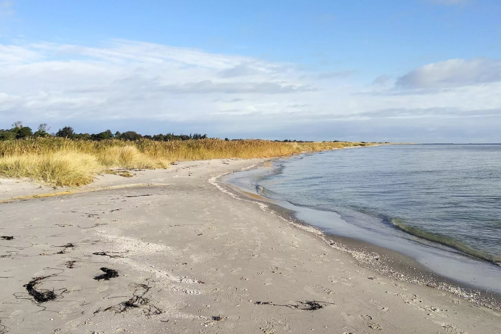 4 Sterne Ferienhaus in Hals-Wasserblick