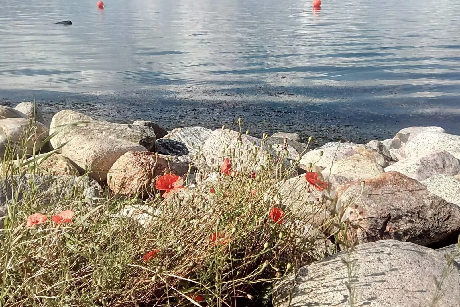 4 Sterne Ferienhaus in Aalborg-Wasserblick