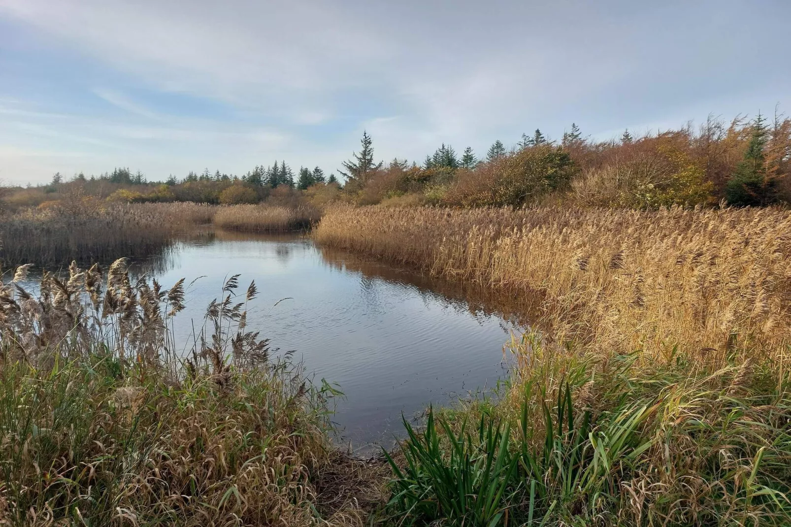 Maison de vacances pour 5 a Snedsted-Vue sur l'eau