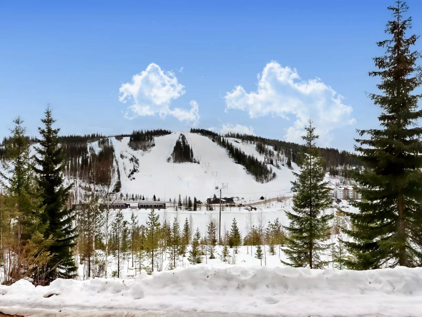 Pieni kiiruna-Inside