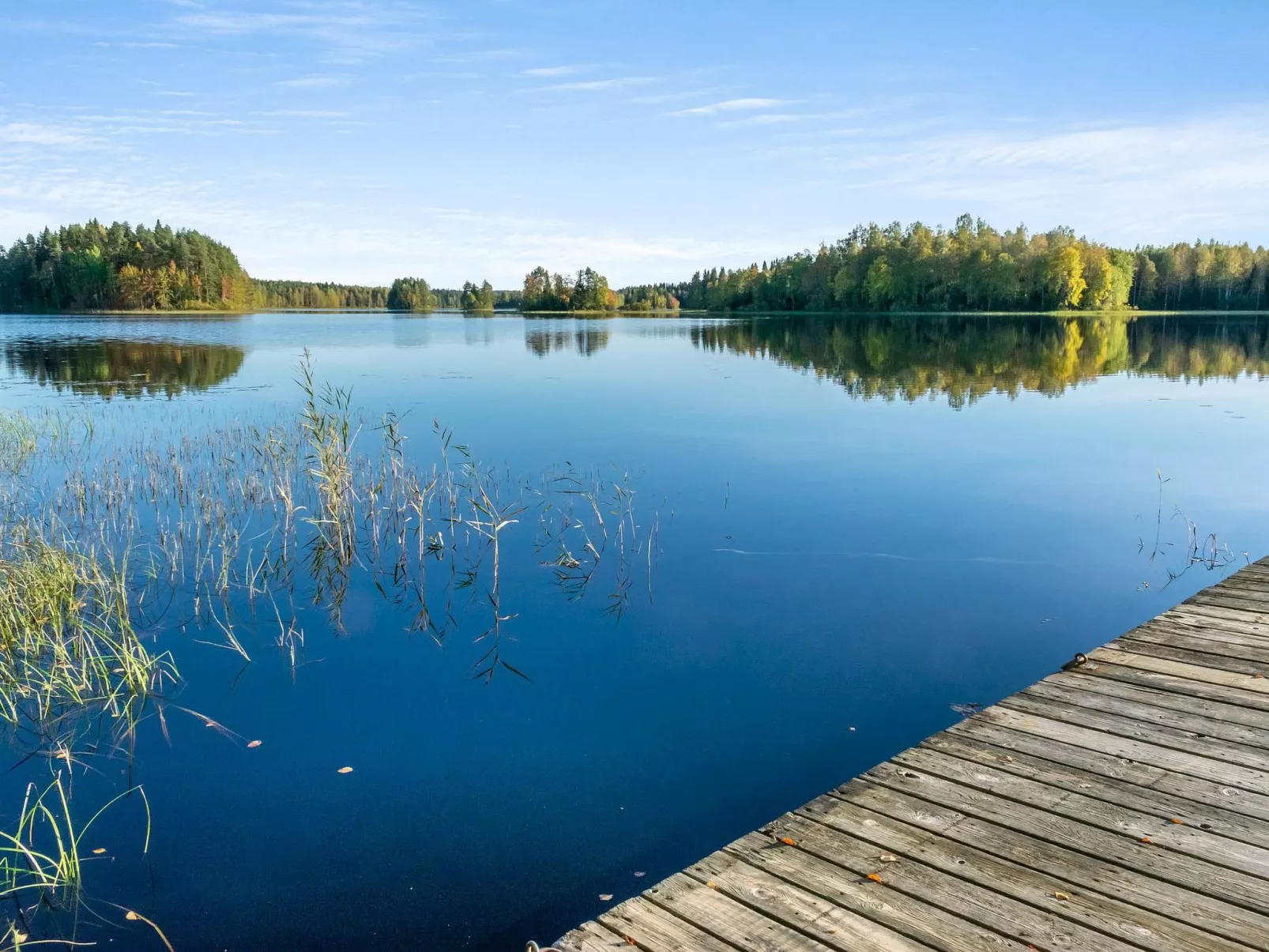 Niemenkärki, vaikon loma 8-Dedans
