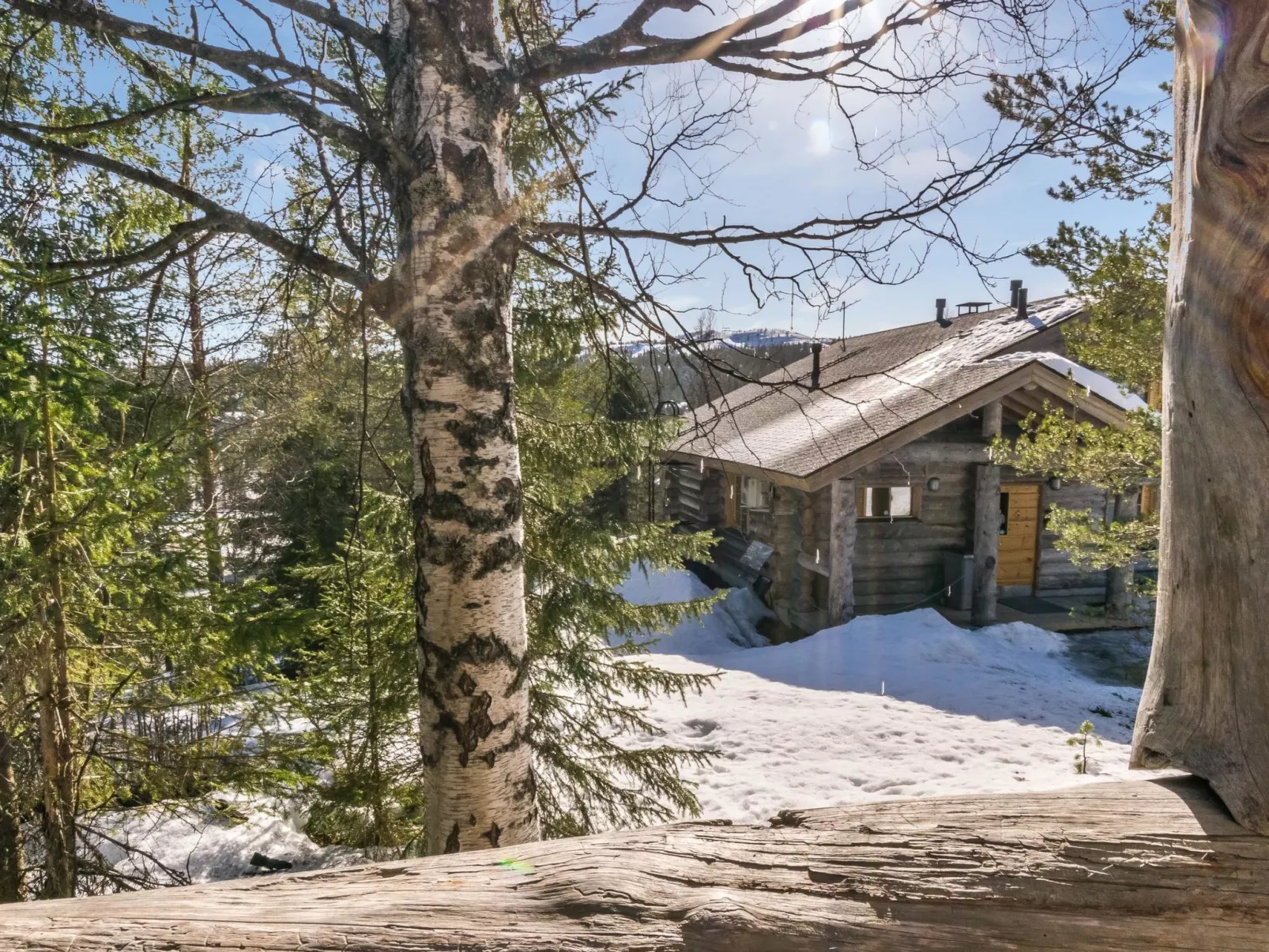 Pihlakieppi 2-Dedans