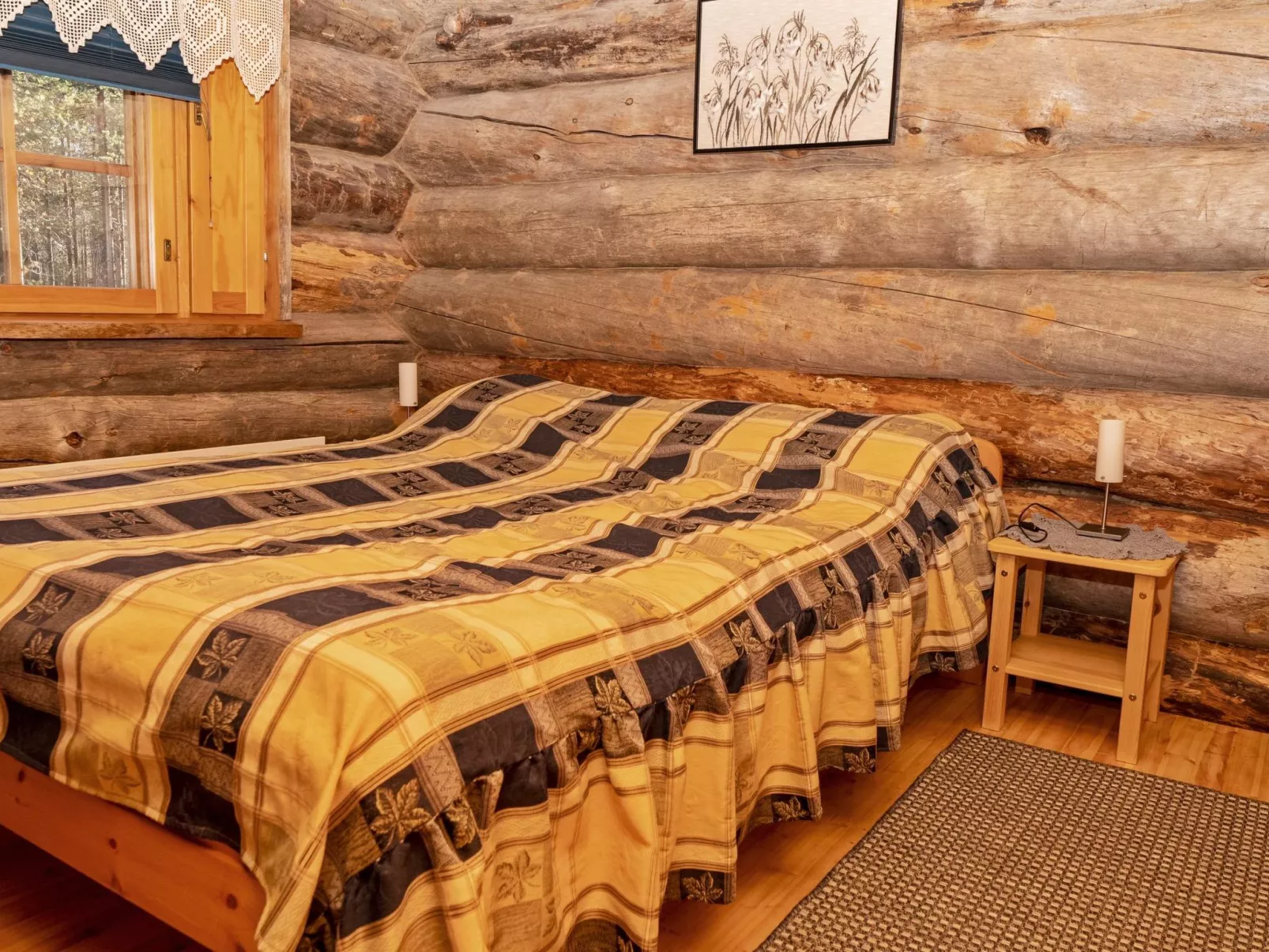 Villihanhi 7b-Dedans