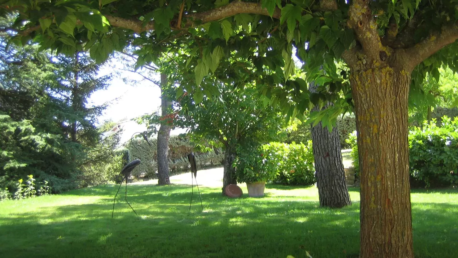 Liodrey-Gardens summer