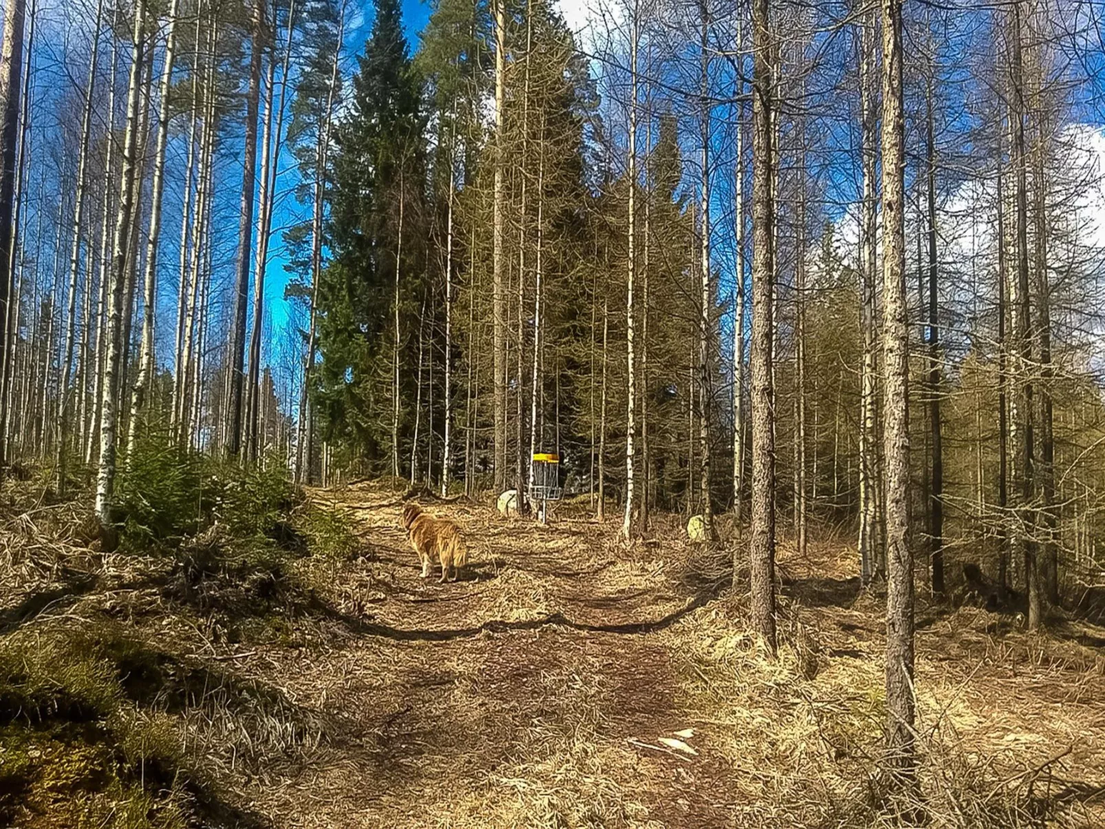 Villa akuliina-Inside