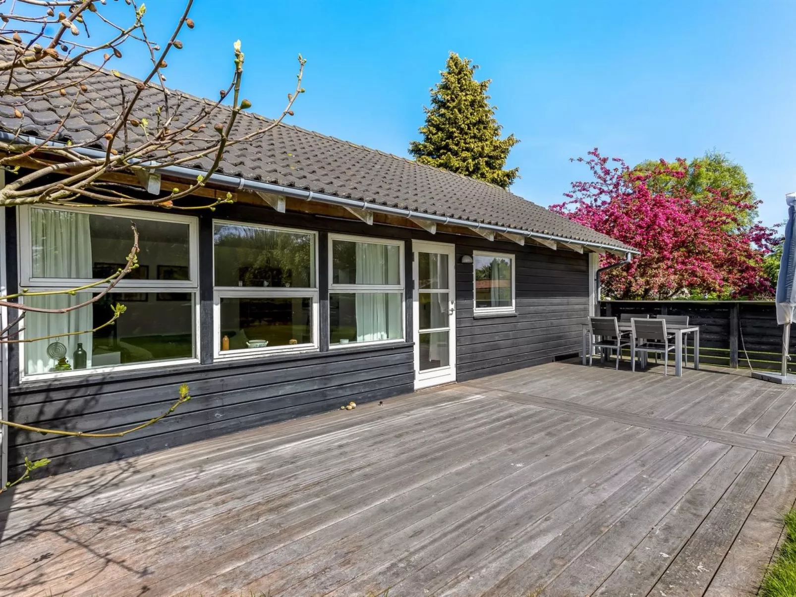 "Prohor" - 150m from the sea-Outside