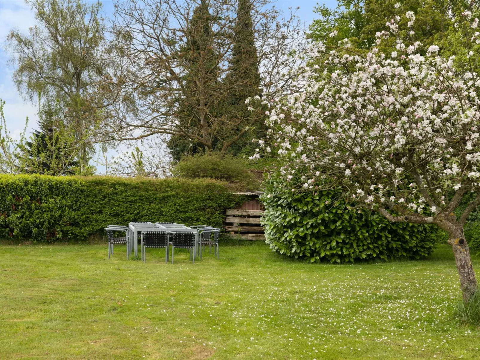 "Andine" - 250m from the sea-Outside