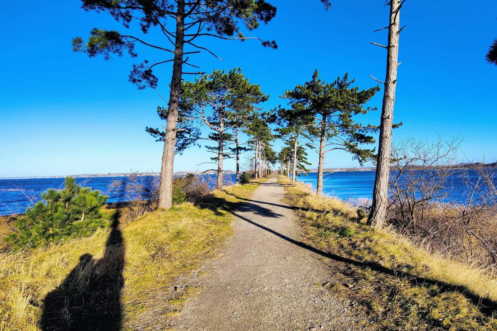 4 etoiles maison de vacances a Jægerspris-Vue sur l'eau