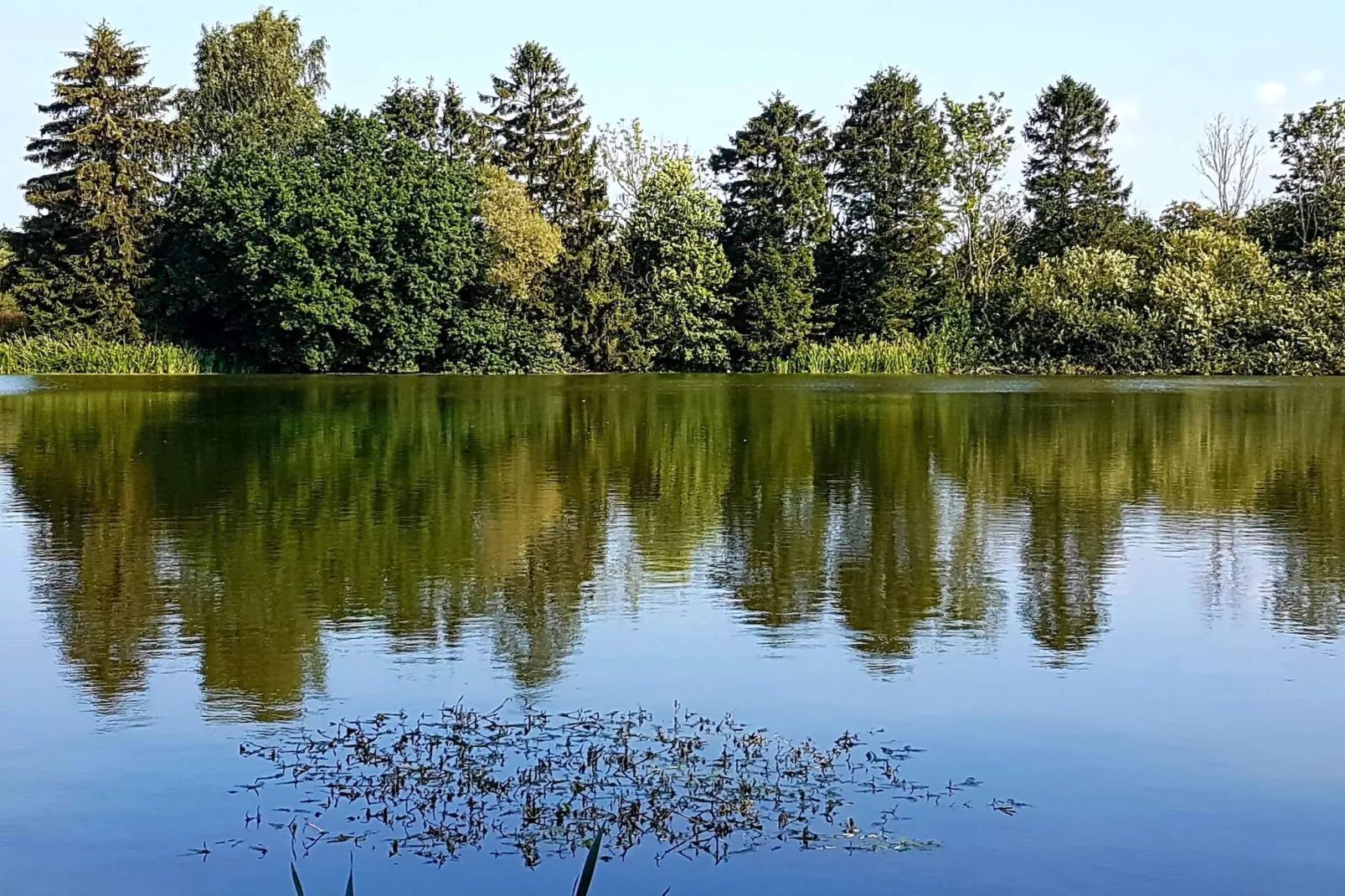 5 person holiday home in Rønne