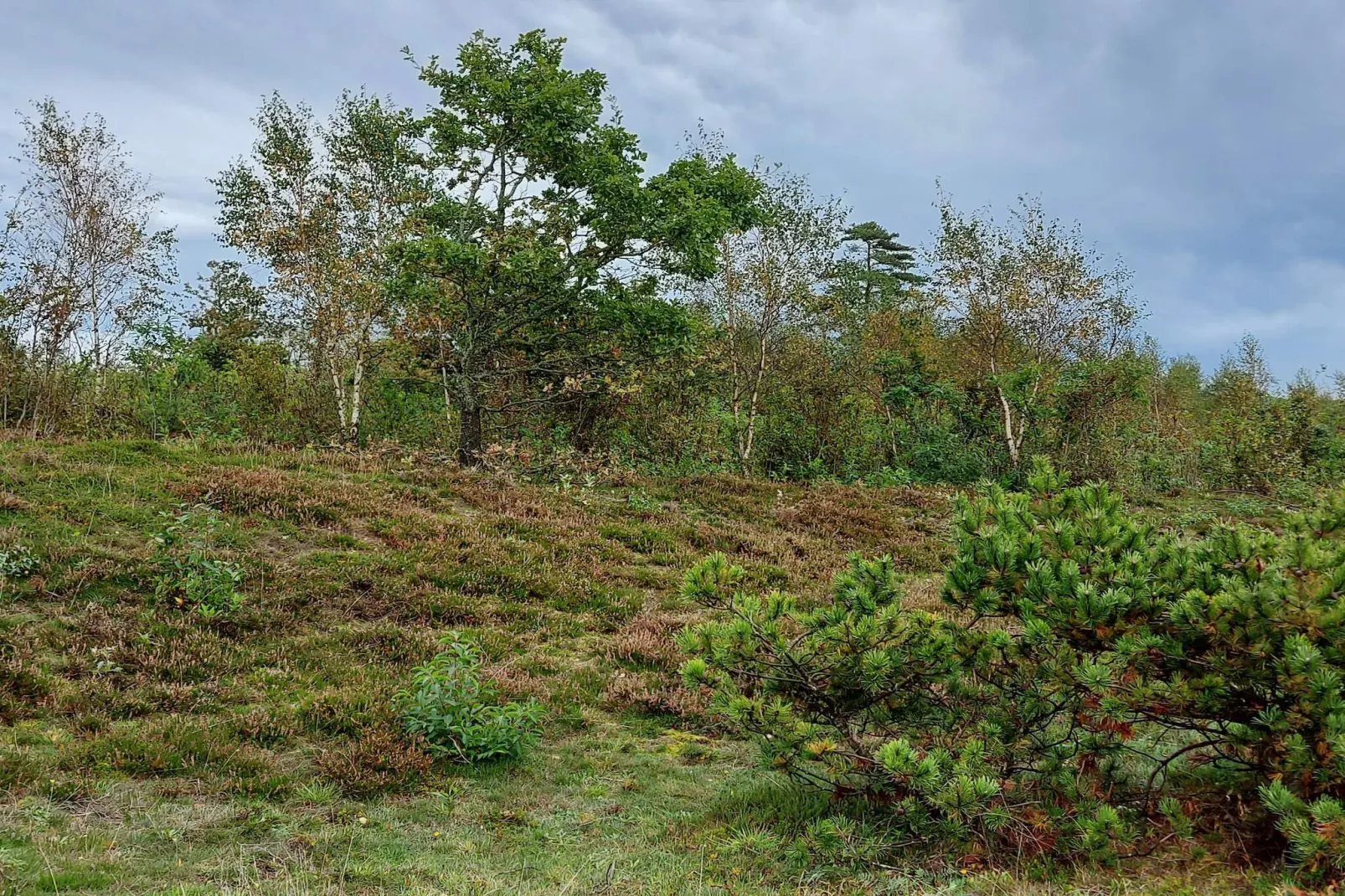 5 star holiday home in Farsø-Untagged