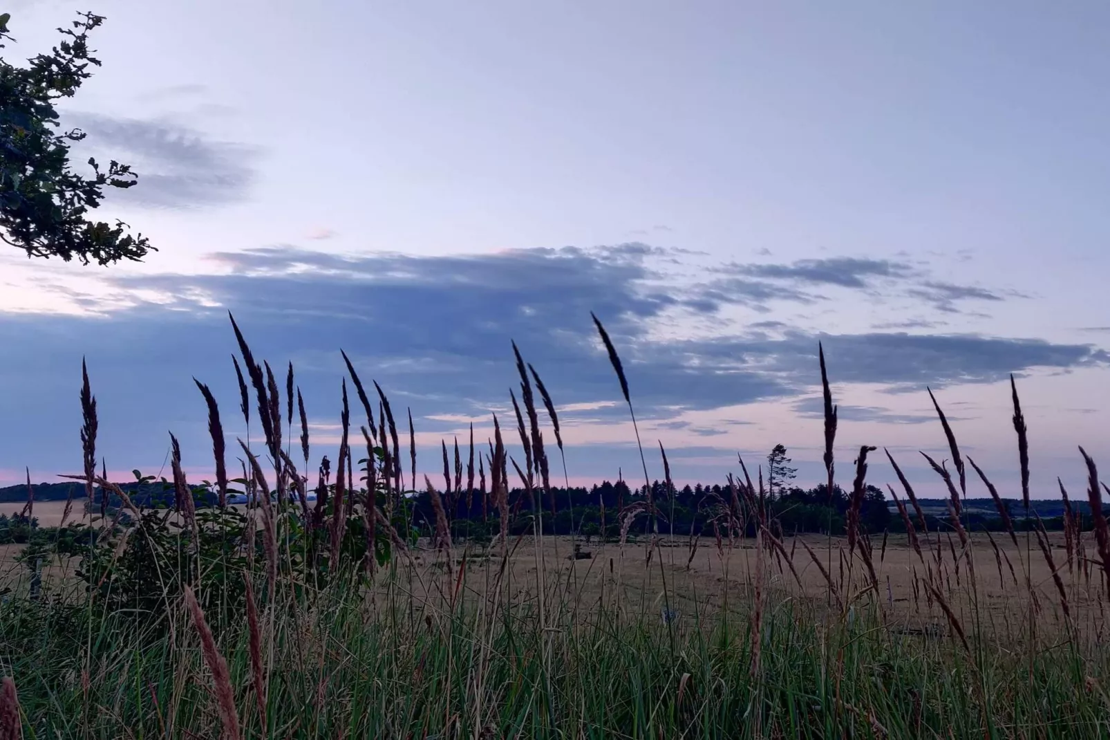 4 etoiles maison de vacances a Brønderslev-Non tagué