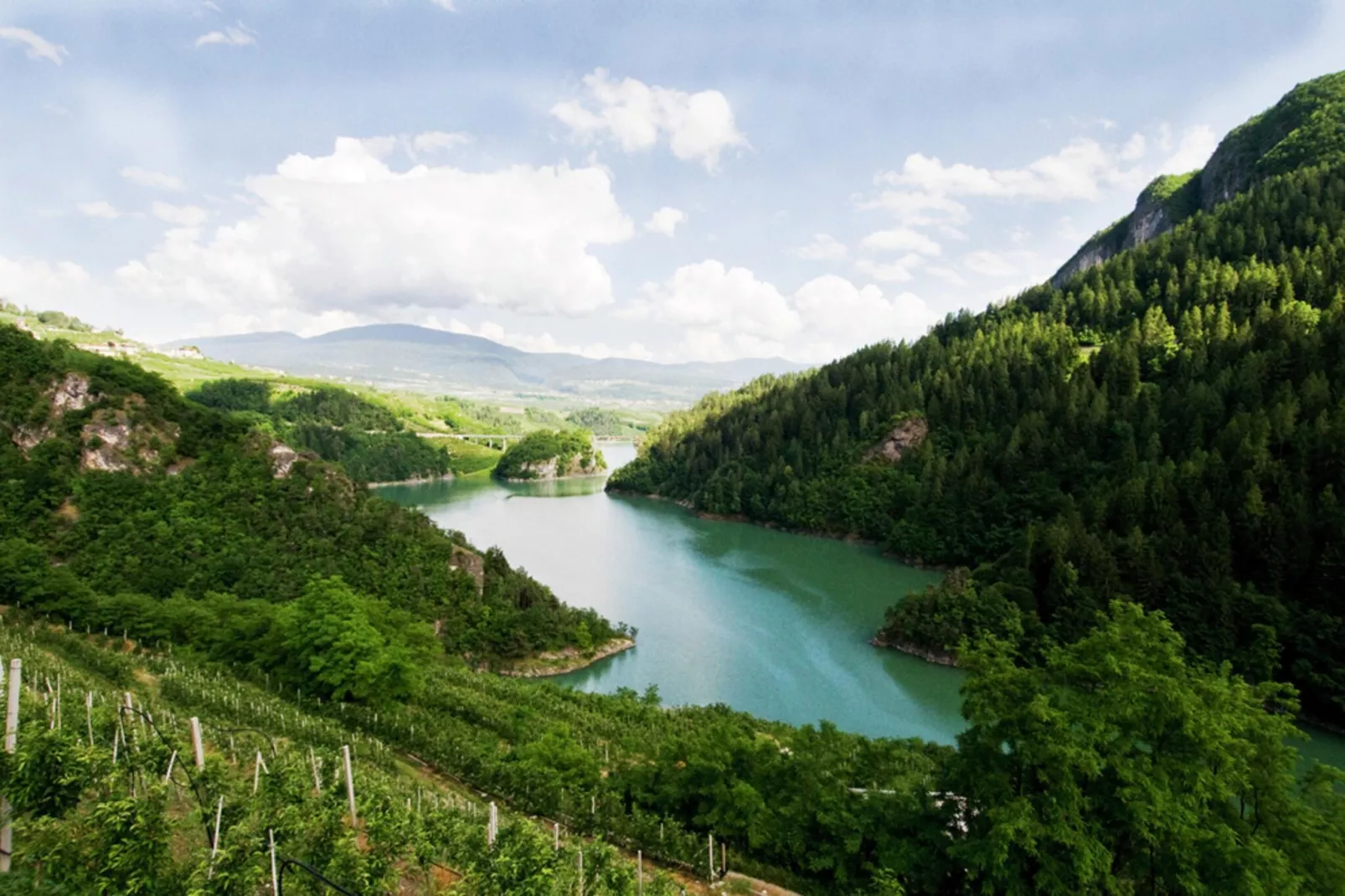 Renetta Mansarda-Areas within 5km in summer