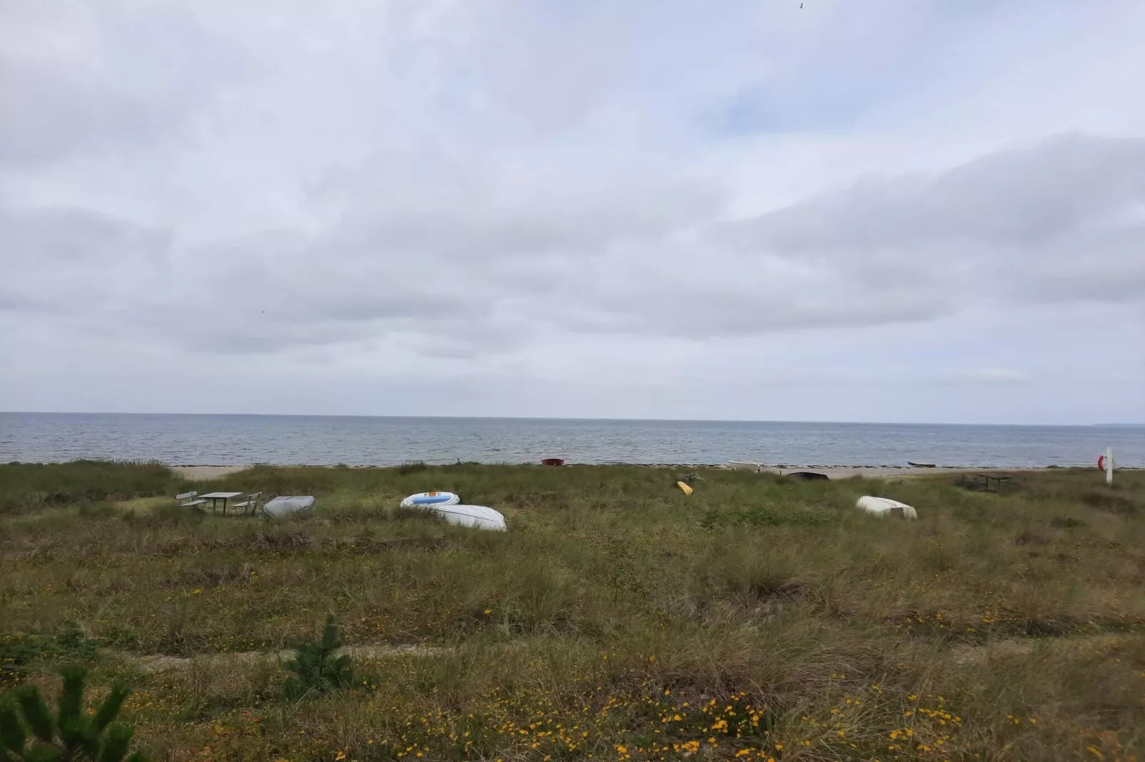 4 etoiles maison de vacances a Store Fuglede-Extérieur