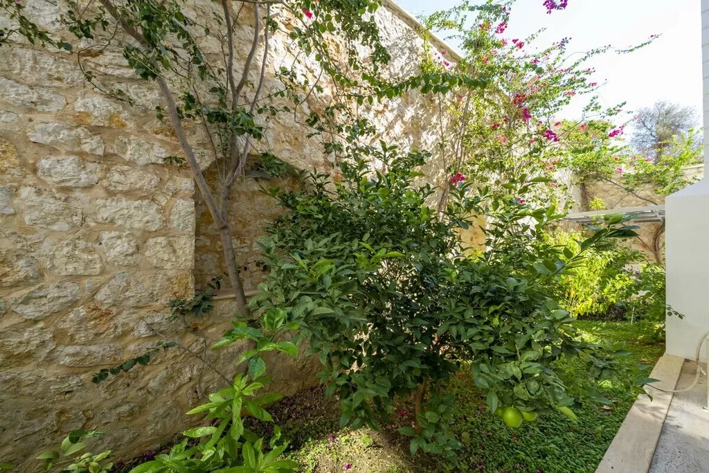 624555-Nicht zugeordnet