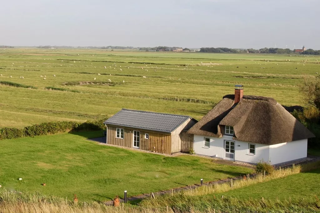 66667-Nicht zugeordnet