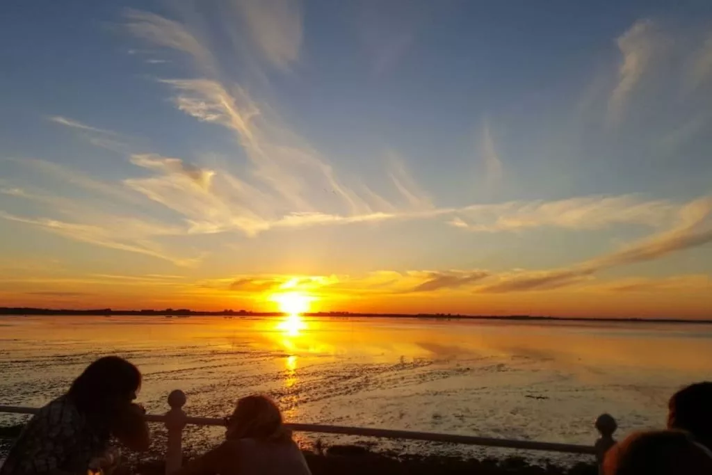 225966-Nicht zugeordnet