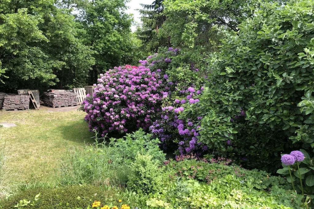 441274-Nicht zugeordnet