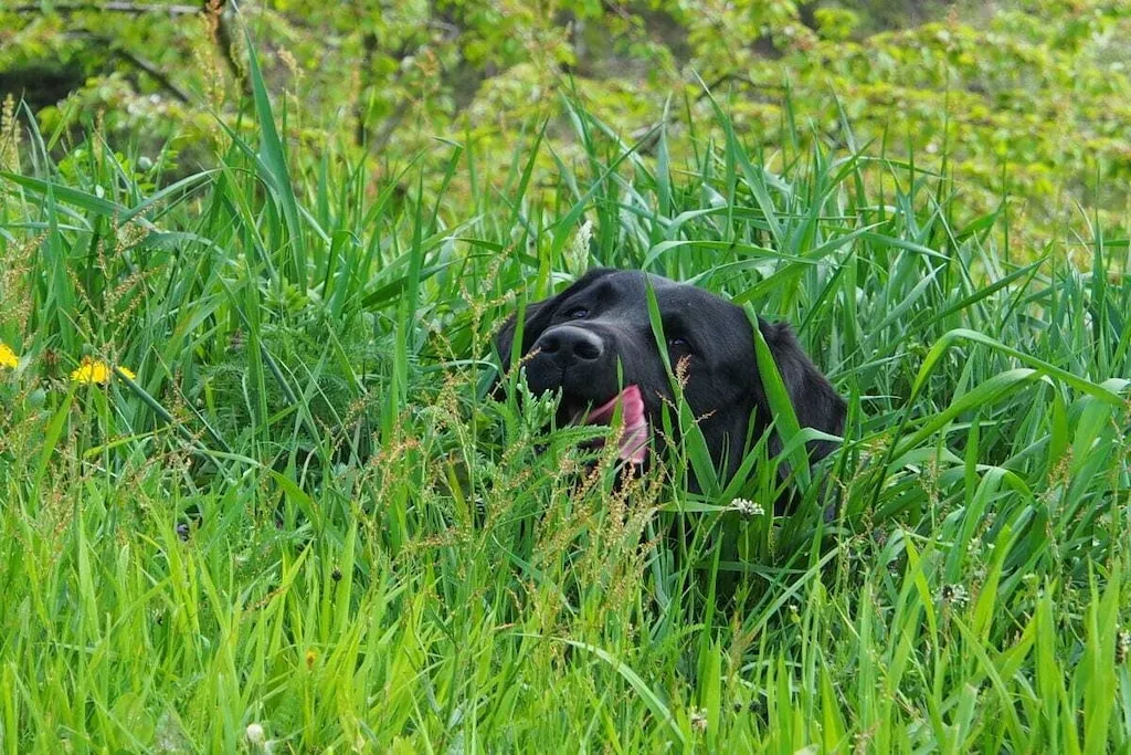 27350-Nicht zugeordnet