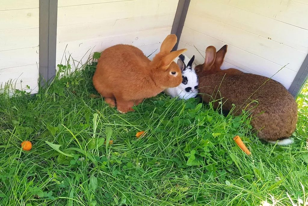 137960-Nicht zugeordnet