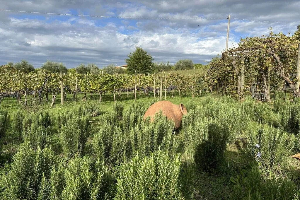 539347-Nicht zugeordnet