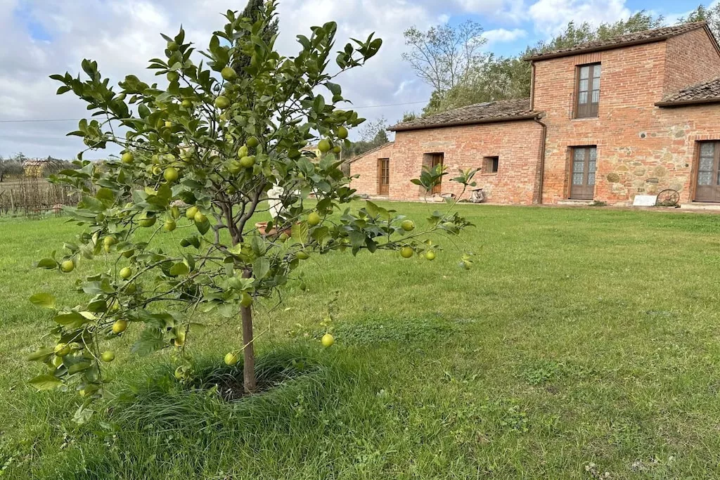 539355-Nicht zugeordnet