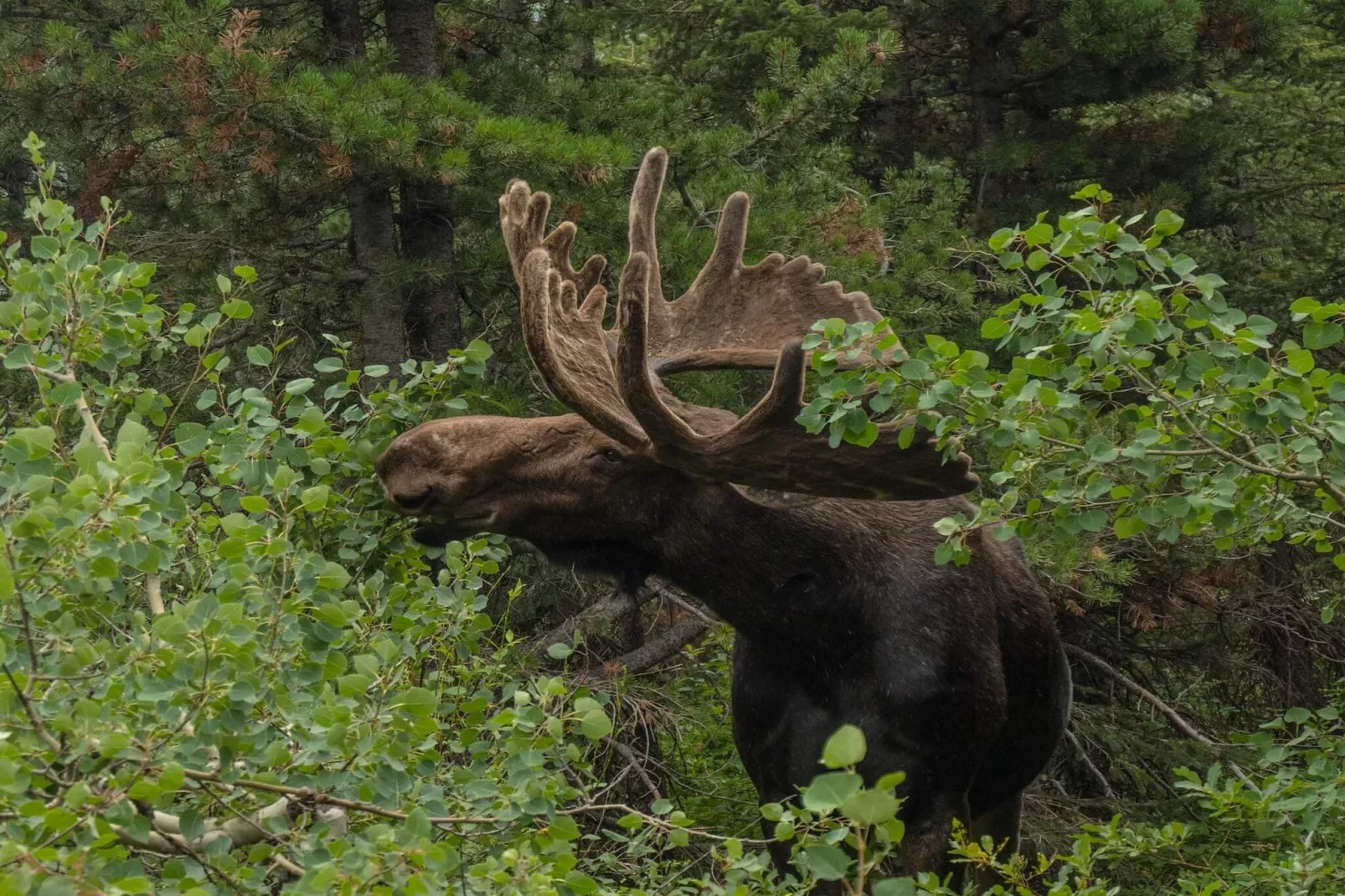 7 Personen Ferienhaus in KIL-Im Freien