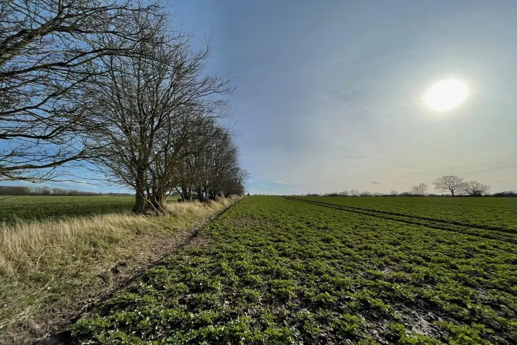 581116-Nicht zugeordnet