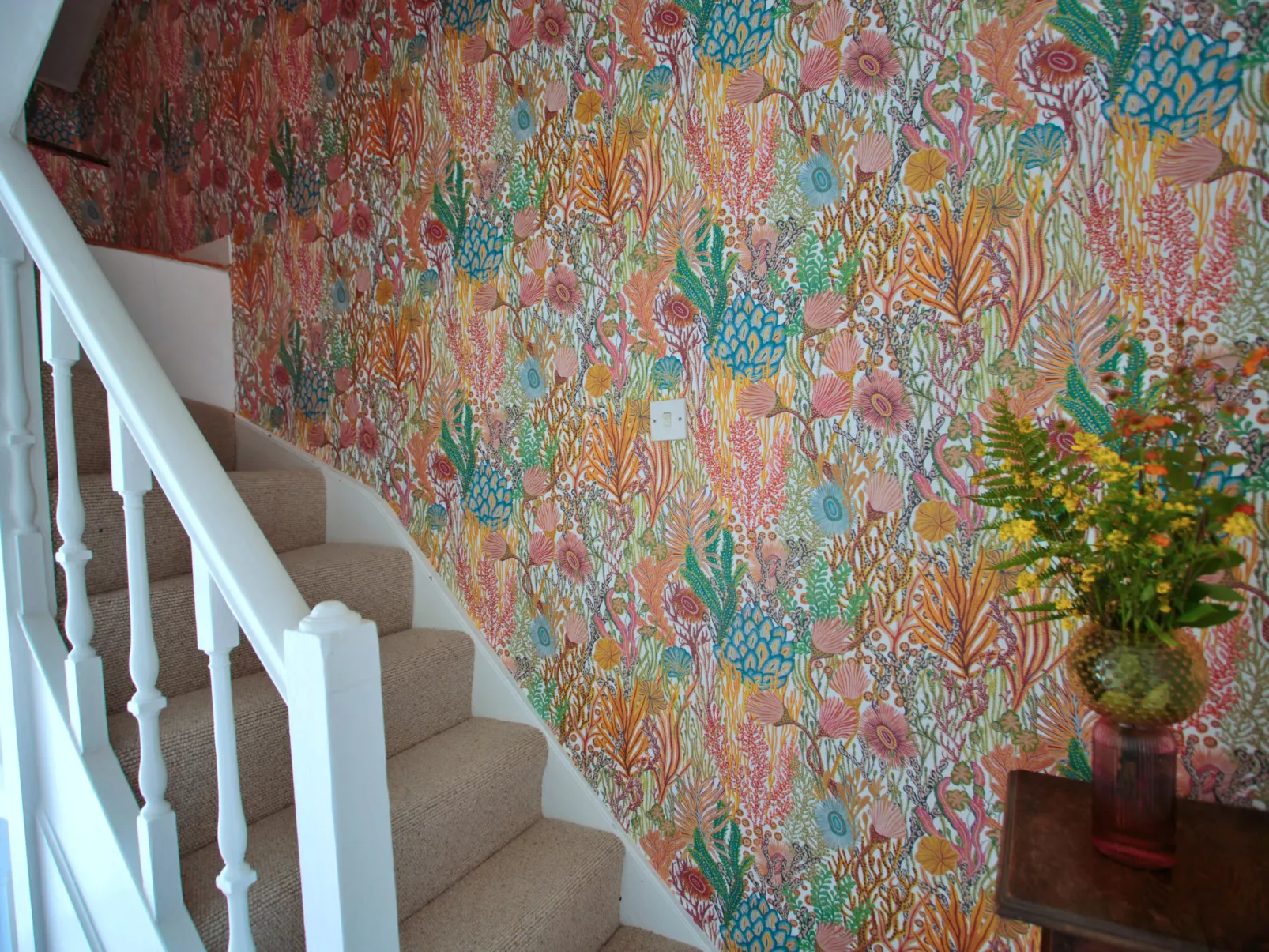 Cliff House, Kingsand-Dehors