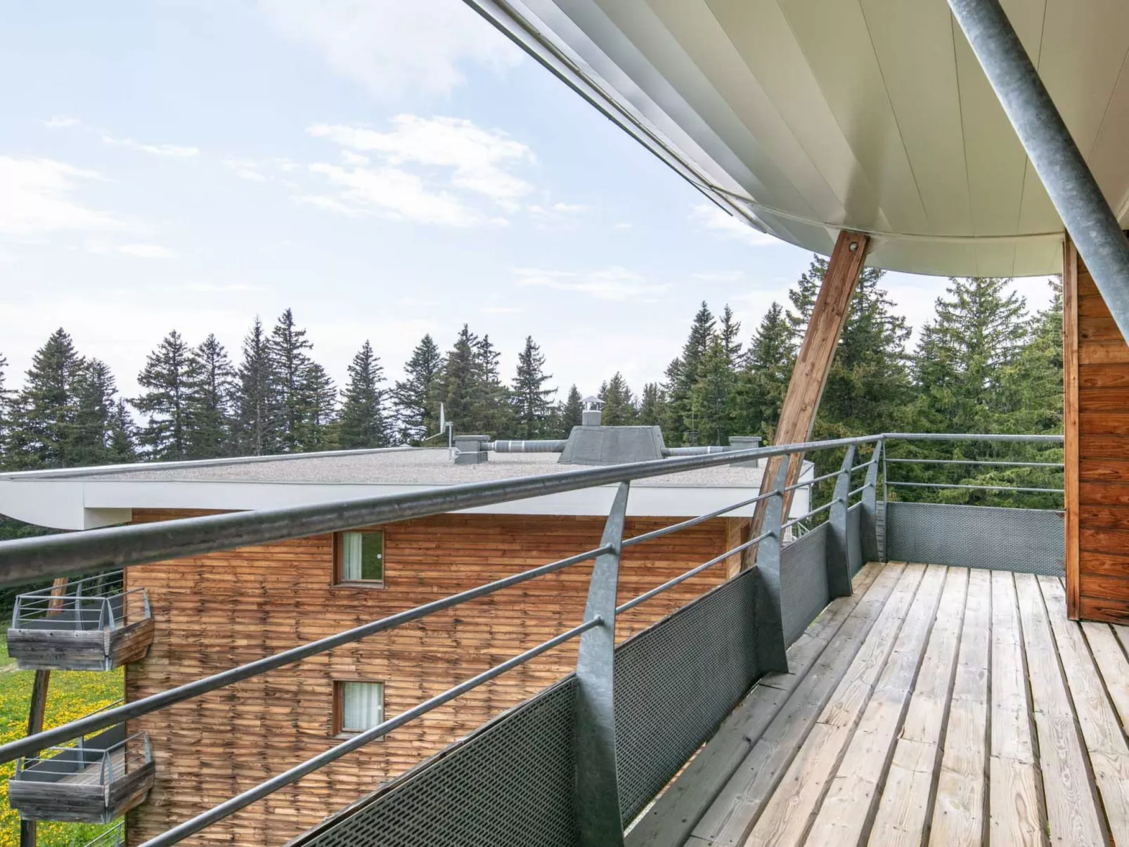 V du Bachat Asters B-Dehors