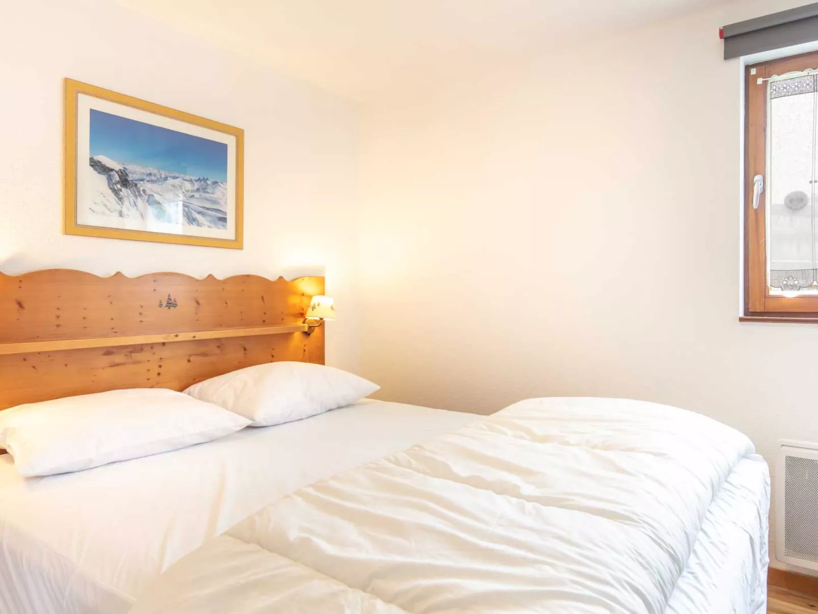 V.DU BACHAT Asters D-Inside