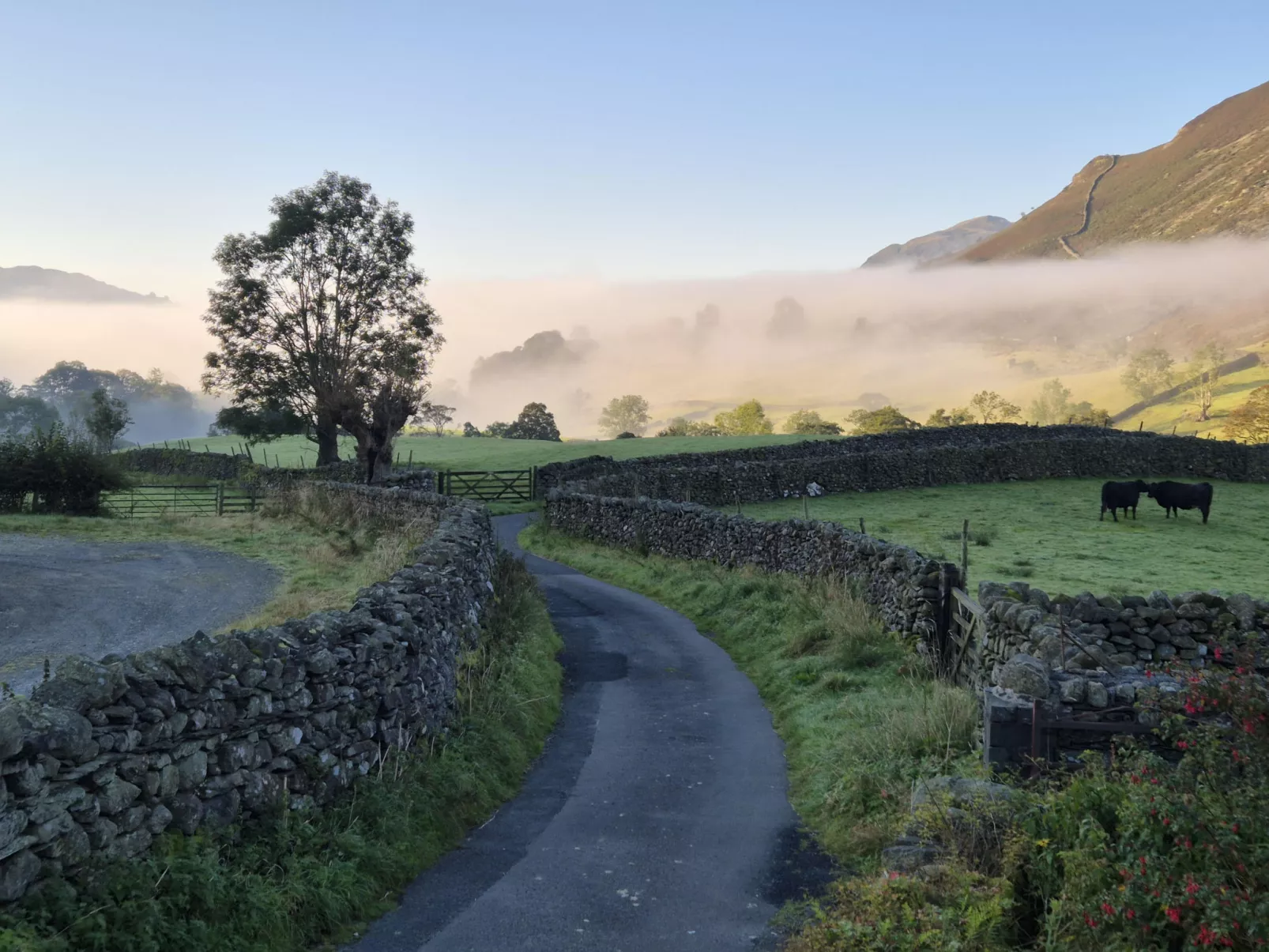 No.2 Town Head Cottages-Outside