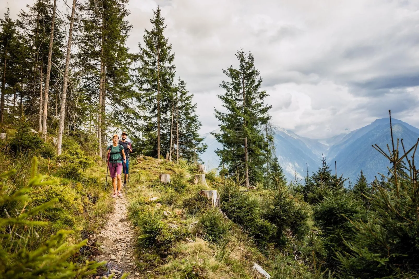 Bauernhaus Bachler-Areas summer 5km