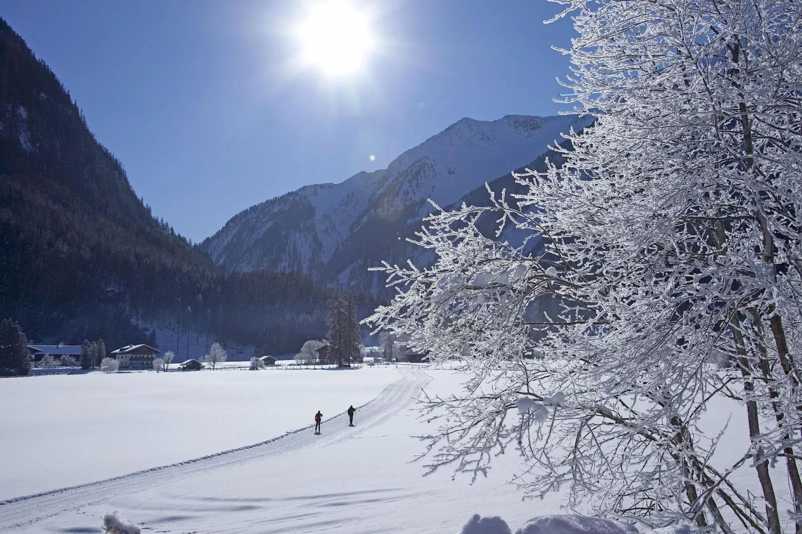 Bauernhaus Bachler-Area winter 5km