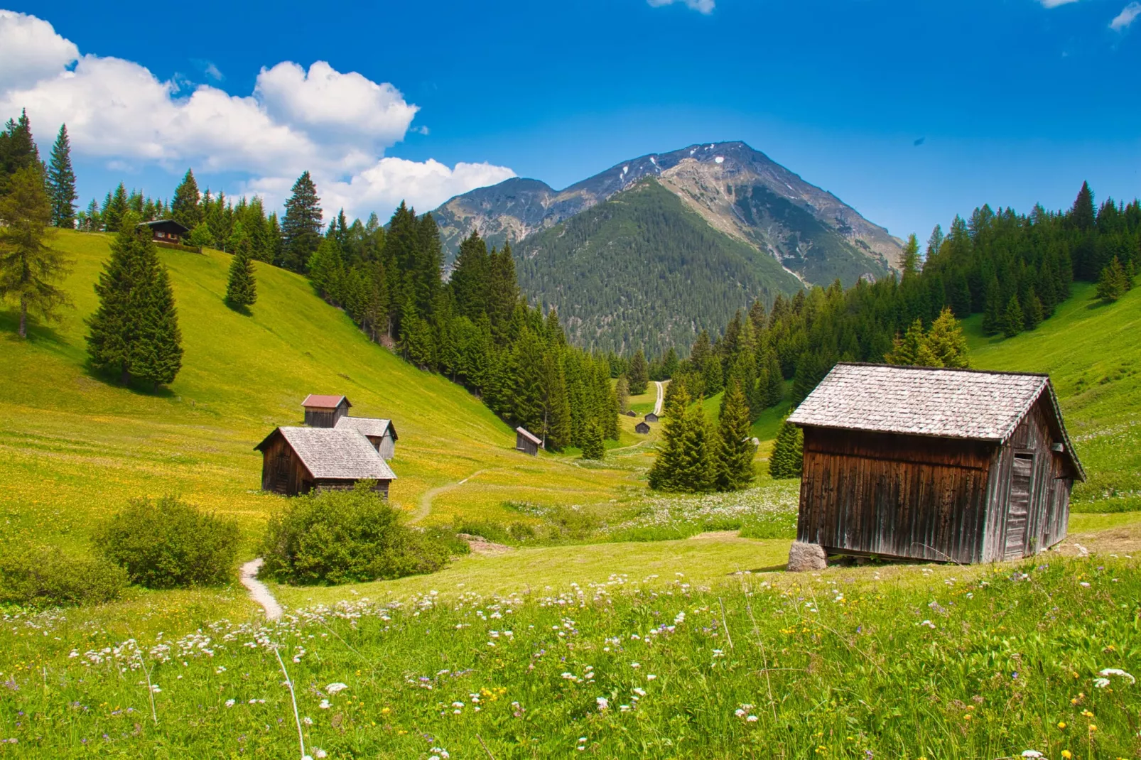 Haus Bergwald TOP 2-Areas summer 5km